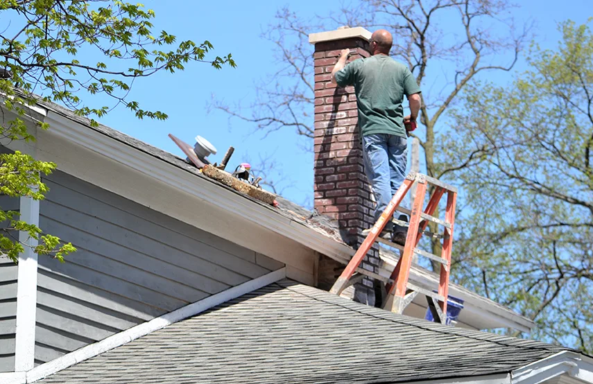Chimney & Fireplace Inspections Services in Fruit Cove, FL